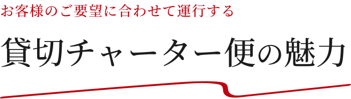 貸切チャーター便の魅力